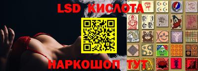 прущие грибы Усть-Илимск